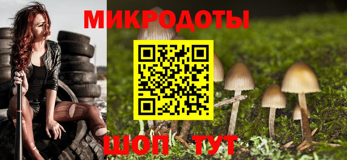 Галлюциногенные грибы Cubensis Большой Камень