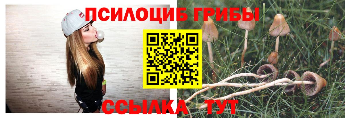 Псилоцибиновые грибы мухоморы  Псилоцибиновые грибы мицелий  Вход с VPN  сколько стоит  Большой Камень 